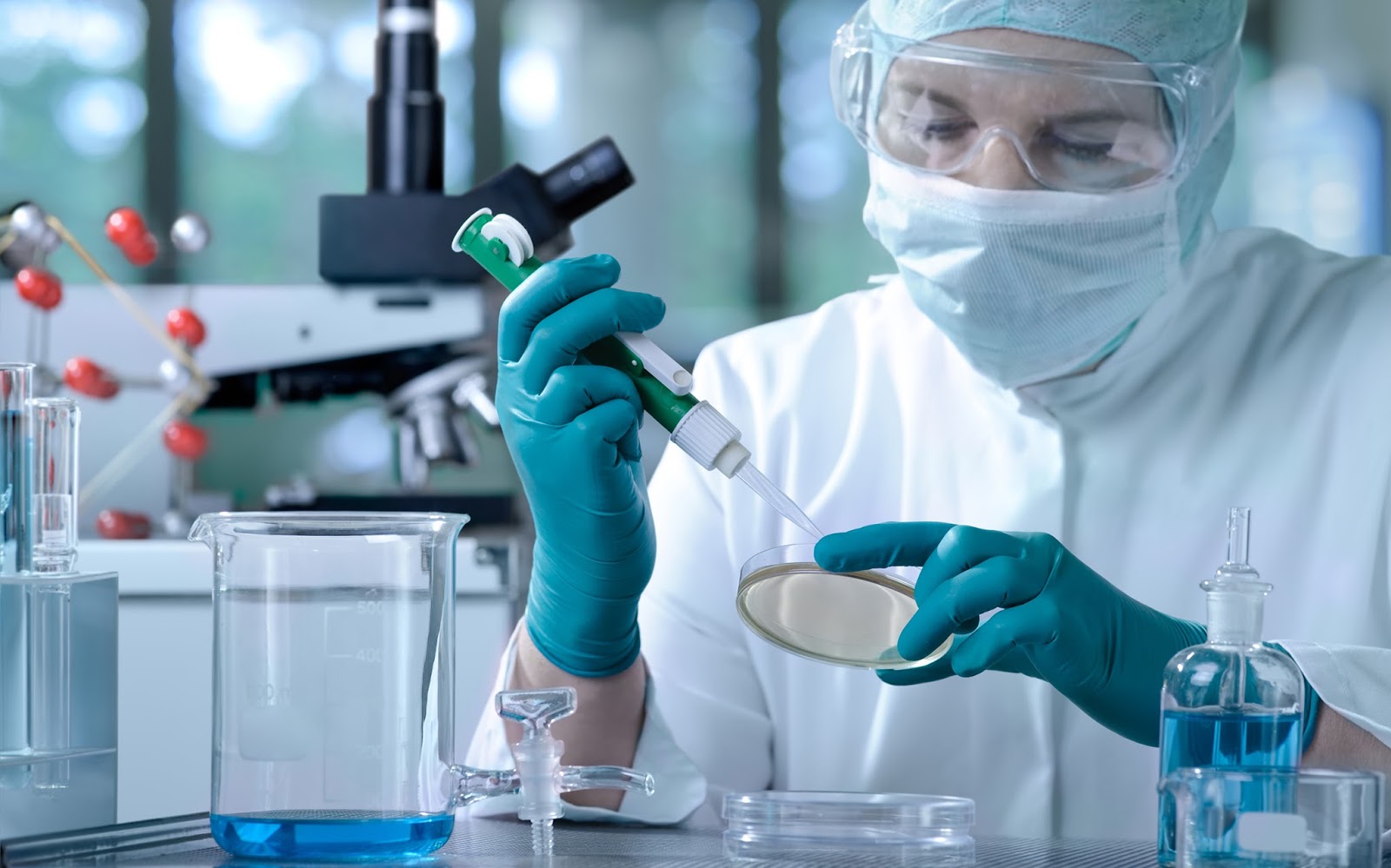 LABORATORIO I